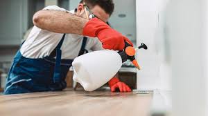 Professional Pest control in Florin, CA